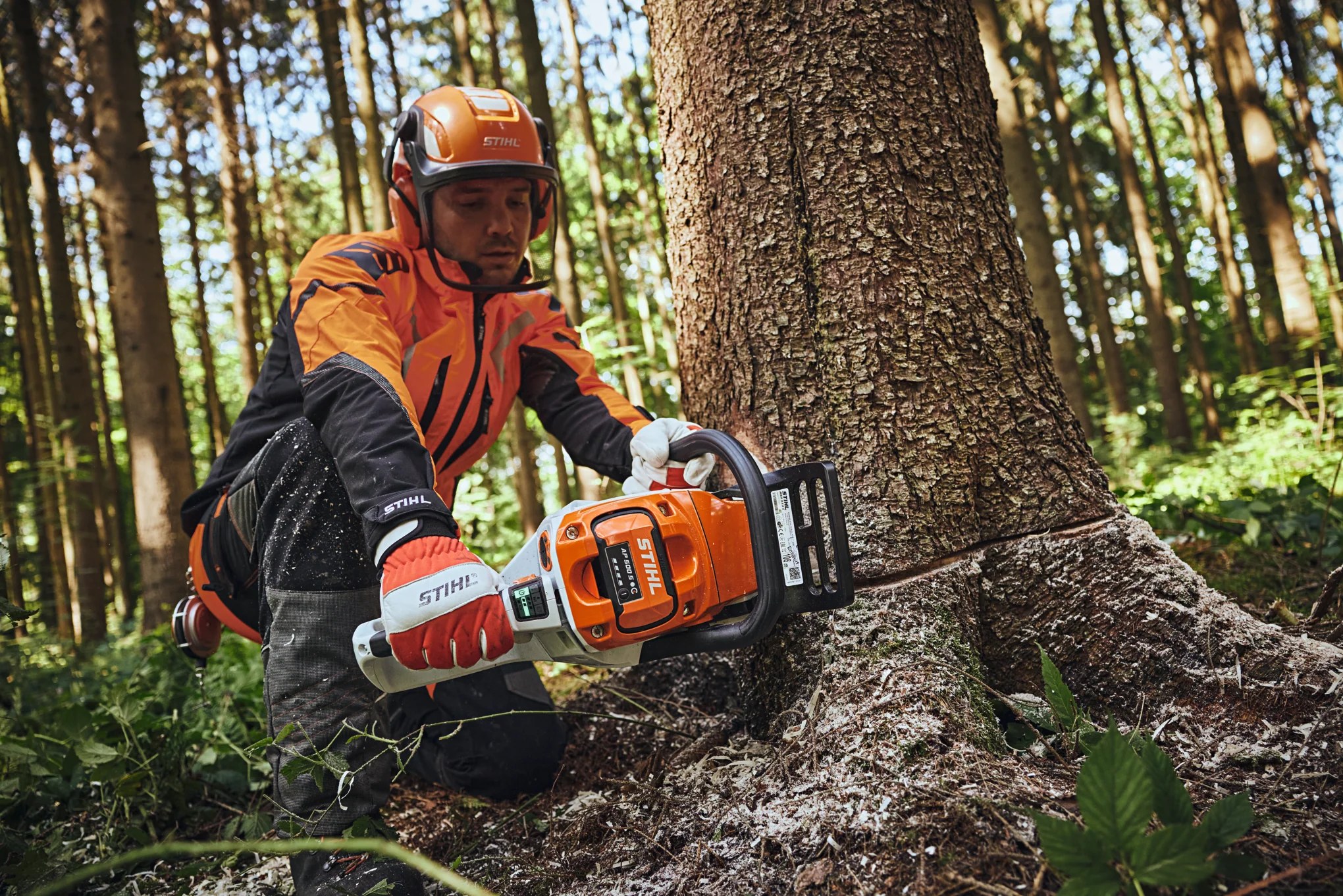 Bosbouwwerk met een machine tussen de bomen